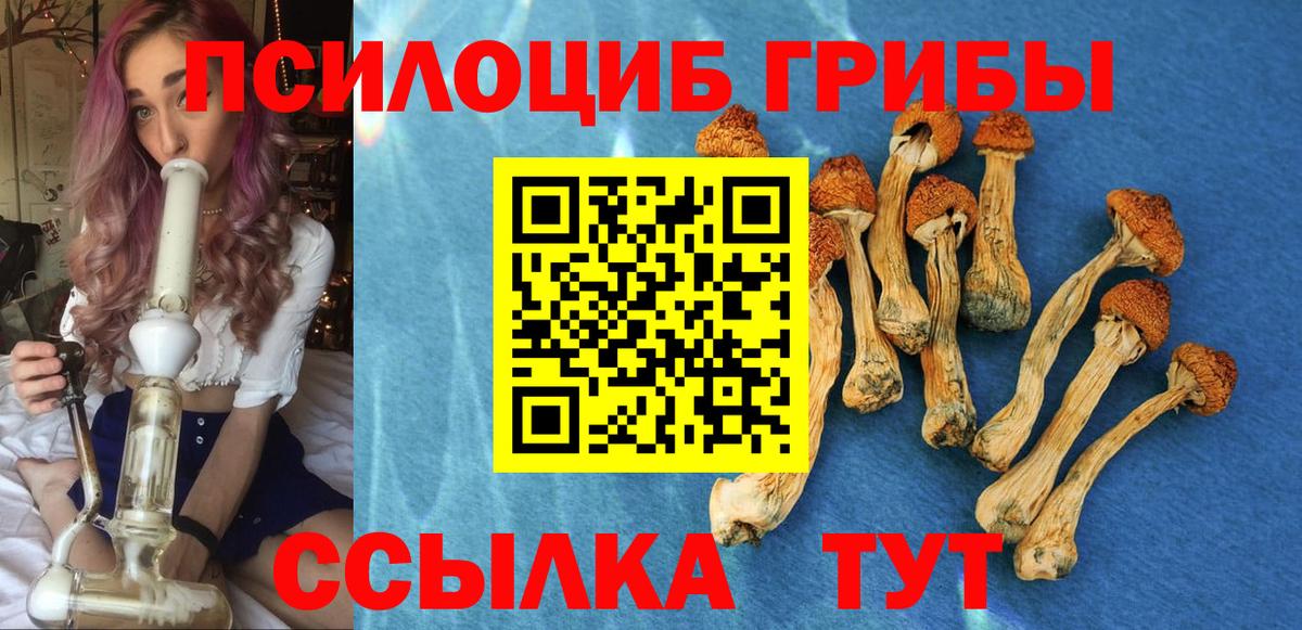 Псилоцибиновые грибы Psilocybine cubensis Кулебаки