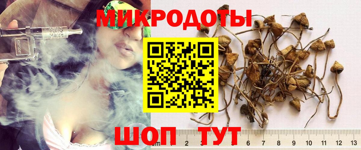 Галлюциногенные грибы прущие грибы  Галлюциногенные грибы Magic Shrooms  Вход с VPN  Кулебаки 